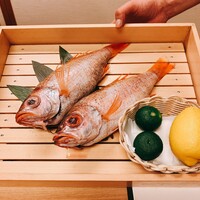 のどぐろ専門 銀座 中俣 - 