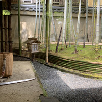 京都 吉兆 嵐山本店 - お庭に筍生えてるのが楽しすぎる！