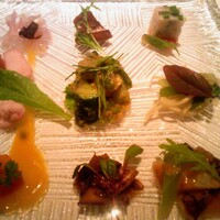 カントニーズ 燕 - 