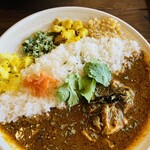 MEGANE CURRY - 