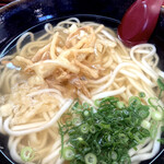 星野庵 - 出汁にゴボ天が素敵