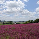 手もみそばいけもり - 太田北部運動公園