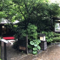 石焼料理 木春堂 - 新緑と小雨が風流です