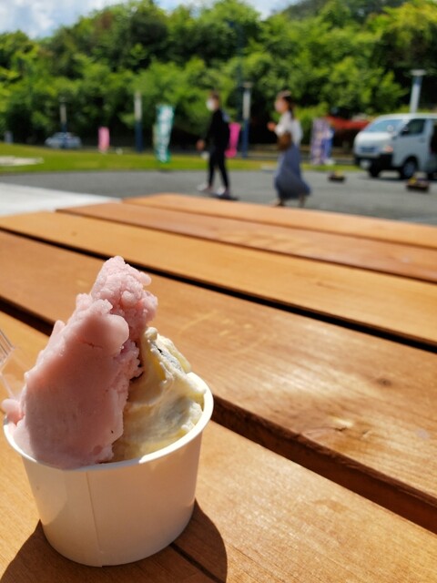 ウィンディーランド 道の駅ならは店 - 木戸（ジェラート・アイスクリーム）の写真