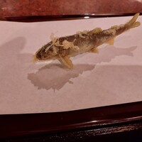京都 天ぷら圓堂 岡ざき邸 - 