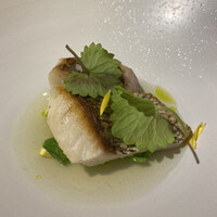 デルフィーナ - 石川県七尾漁港直送新鮮なお魚料理（アクアパッツァソース/契約農家さん季節野菜）