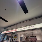 ALOHA BEAR - 