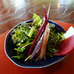 奥鎌倉 北條 - 鎌倉野菜のサラダ