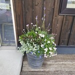 カフェかちまめ - 