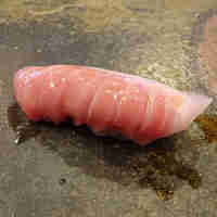 鮨 難波 - メジマグロ（中トロ）