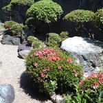 御食事処 ツル - 中庭