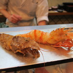 寿司栄 - 鬼海老　獅子海老　