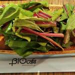 BiOcafe - 食べ放題のサラダ