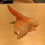 鮨 はしもと - 青柳