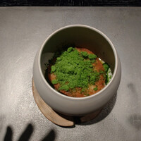 VELROSIER - 