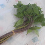 片桐農園マーケット - しどけ菜