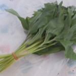 片桐農園マーケット - あずき菜