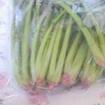 片桐農園マーケット - 鮮度よし‼