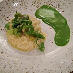 イル・テアトロ - 新緑のリゾット “プリマヴェーラ” 
            青物野菜まいぅ