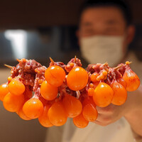 鳥匠いし井ひな - 