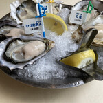 Oyster Bar ジャックポット - 