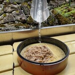 滝観洞観光センター - 流れてきた後のそば