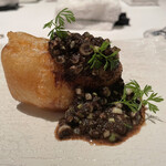 カンテサンス - 