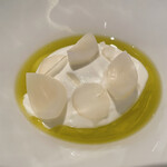 カンテサンス - 