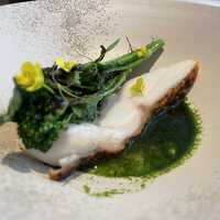 aru - 大葉　コブ鯛