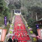 丸竹都寿司本店 - 遠見岬神社（ビッグひな祭り）