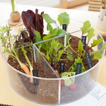 レストランぶどうの森 レ・トネル - 