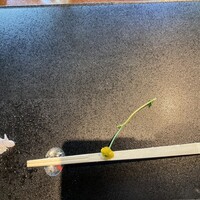 足利伊萬里 - 