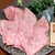A5仙台牛焼肉 肉豊作 - 料理写真: