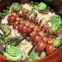 炯 - ⑧ホタル烏賊・筍・こごみ・ワラビ・もち麦・群馬県産コシヒカリ