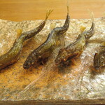 割烹 市川 - 鮎の塩焼き