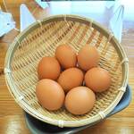 たまごのたまこ - 