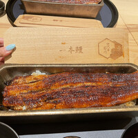 うなぎ四代目菊川 ヒルトンプラザウエスト大阪店 - 鰻はみ出てます