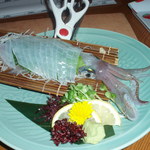 活魚工房八千代丸 - ヤリイカの姿造り