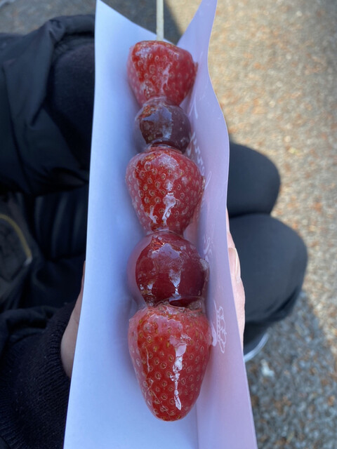 苺⑤Hiroさん専用 High-quality Diesel Injector Fuel Pump for HIACE 5L