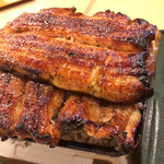 Unagi Kazutomo - 