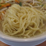 Hidakaya - 野菜たっぷりタンメンの麺