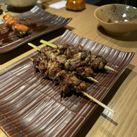 鳥ばか一代 - 