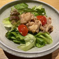 鳥ばか一代 - 