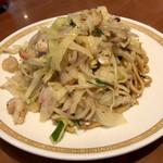 174555019 - 皿うどん(太麺)