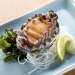 Tachizushi Yokochou - 