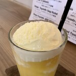 タイショウ・コーヒー・ロースター - オレンジフロート 450円
