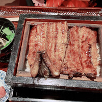 にょろ助 銀座 - 