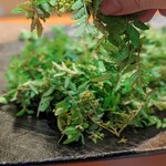 日本橋ゆかり - 