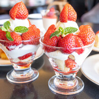 フレンチ ベイ・ビュー - 