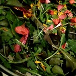 旅籠屋 定山渓商店 - チョレギサラダ